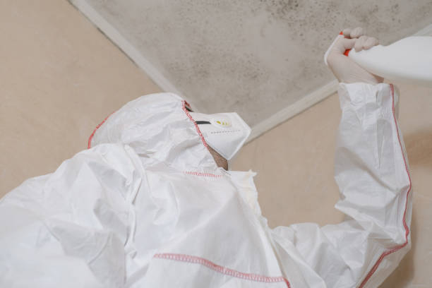 Crawl Space Mold Removal in Brookside, DE